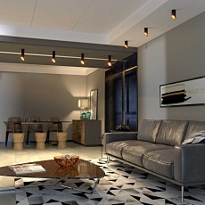 Потолочный светильник Elektrostandard DLN114 GU10 черный/золото a050120 2