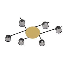 Светильник потолочный Lumion BENUA 8304/6C 1