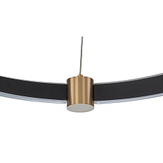 Подвесной светодиодный светильник Indigo Parade 14014/B/1P Black V000071L 1