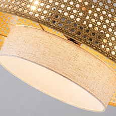 Подвесная люстра Favourite Organicum 4768-3P 4