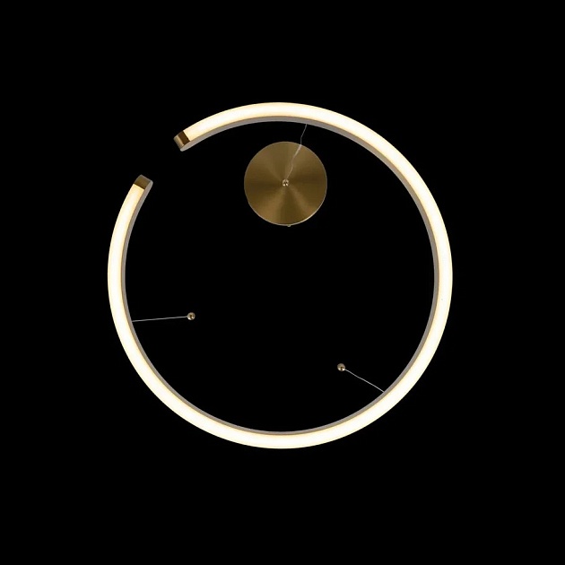 Подвесной светодиодный светильник Loft IT Ring 10013S Фото № 2