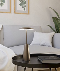 Уличный светодиодный светильник Eglo Piccola 900924 3