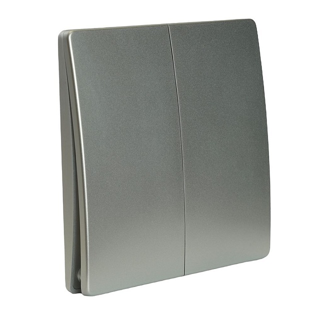 Выключатель двухклавишный беспроводной Feron Smart серебро TM92 51030 изображение 1 Выключатель двухклавишный беспроводной Feron Smart серебро TM92 51030 Фото № 1