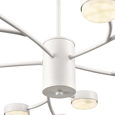 Люстра Lumion TORINA 8265/15 2