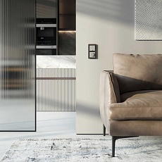 Диммер (дымчатый) W1242004/ a069461 3