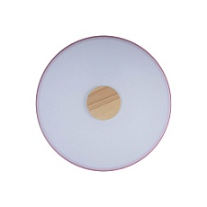 Потолочный светодиодный светильник Loft IT Axel 10003/24 pink 1