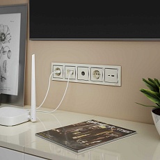 Розетка двойная Ethernet RJ-45 Werkel слоновая кость W1181103 4690389155864 4