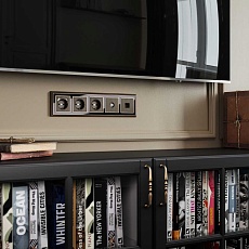 Накладка Werkel для TV розетки оконечной бронзовый W1193012 4690389161810 1