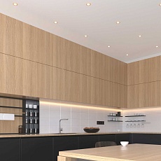 Встраиваемый светильник Elektrostandard 110 MR16 золотой a053333 2