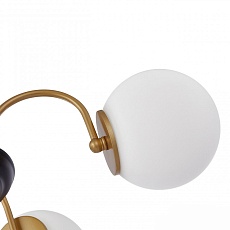 Подвесная люстра Arte Milano Napoli 312066/D850/6 BS/BK 4