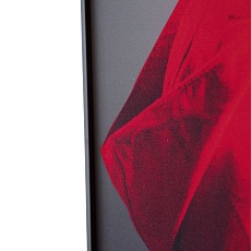 Картина Lumina Deco FP Red Hat 50-70 4