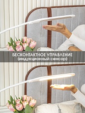 Настольная светодиодная лампа на струбцине Lucia Fleksa PRO L575 4606400056058 3