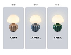 Настольная лампа Ambrella Light HIGH LIGHT LH53248 3
