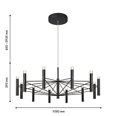Подвесная светодиодная люстра Favourite Blick 4758-12P 1