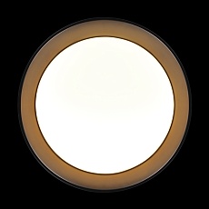 Потолочный светильник Loft it Coin 10202 BB 3