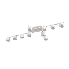 Светильник потолочный Lumion AGNIA 8303/10C 1