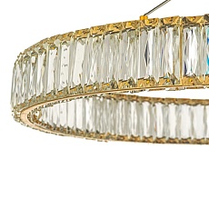 Подвесной светодиодный светильник Dio DArte Elite Caneva L 1.5.60.100 G 1