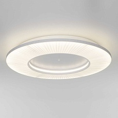 Потолочный светодиодный светильник Eurosvet Kreis 101003 LED белый a071495