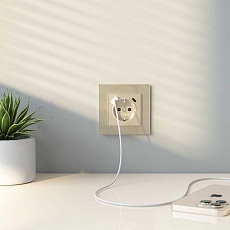 Рамка на 1 пост Werkel Favorit шампань W0011111 4690389159497 3