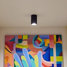 Потолочный светильник Elektrostandard Spike DLN112 GU10 черный a048145 1