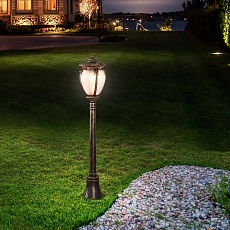 Уличный светильник Elektrostandard Andromeda F (GLYF-8024F) a027998 1