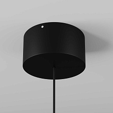 Подвесной светильник Maytoni Outdoor O491PL-L8B3K 4