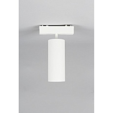 Трековый светильник Aployt Magnetic track 48 APL.0114.10.18 3