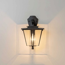 Уличный настенный светильник Citilux Forts CLU10W 1