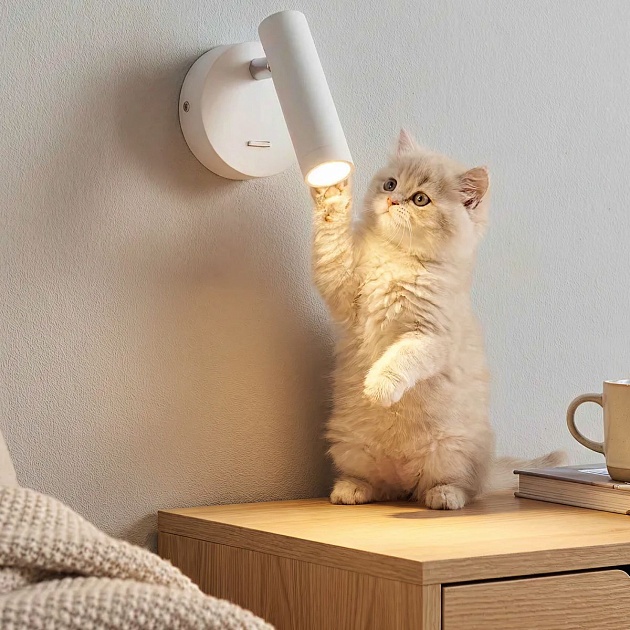 Спот Citilux Декарт CL704100 Фото № 13