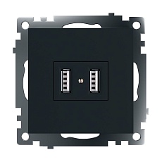 Розетка 2хUSB Stekker Катрин черный GLS10-7115-05 39616 1