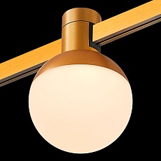 Трековый светодиодный светильник ST Luce Farm ST815.206.05 4