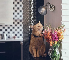 Бра De City Клэр 463021901 3