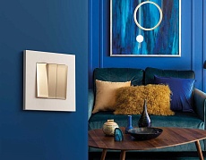 Рамка AMBRELLA VOLT AF250334 3