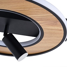 Потолочный светильник F-Promo Olika 4438-2C 2