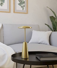 Уличный светодиодный светильник Eglo Piccola 900923 2