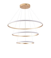 Подвесная светодиодная люстра Zortes RINGOLIGHT ZRS.33325.75C 4