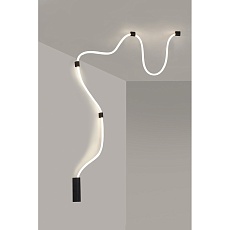 Светильник настенно-потолочный Aployt Sindrillon APL.773.02.78