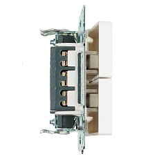 Переключатель двухклавишный Stekker Катрин GLS10-7107-01 белый 49166 4