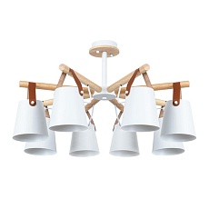 Потолочная люстра Arte Lamp Thomas A7032PL-8WH