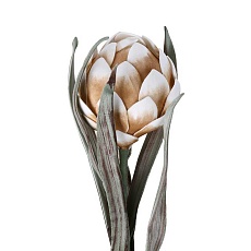 Искусственное растение Eglo MOLAVE 428125 2