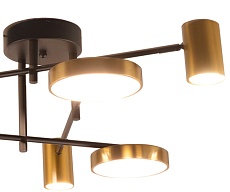 Потолочная светодиодная люстра Kink Light Рапис 07645-6D,19(20) 1