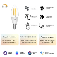 Лампа светодиодная диммируемая филаментная Gauss Smart Home Filament E14 4,5W 2700K прозрачная 1230112 2