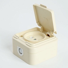 Розетка 2P Stekker Брест с крышкой слоновая кость PST16-20-44 49060 5